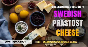 Discover American Cheese Alternatives to Swedish Prästost: A Tasty Guide