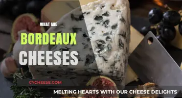 Exploring Bordeaux Cheeses: A Guide to France's Regional Delicacies