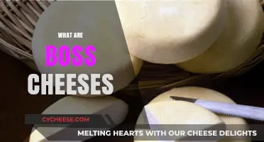 Discover the Rich Flavors and History of Boss Cheeses