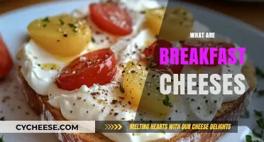 Discover the Best Breakfast Cheeses for a Perfect Morning Meal