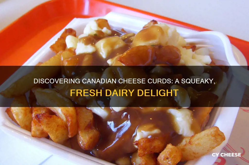what are canadian cheese curds