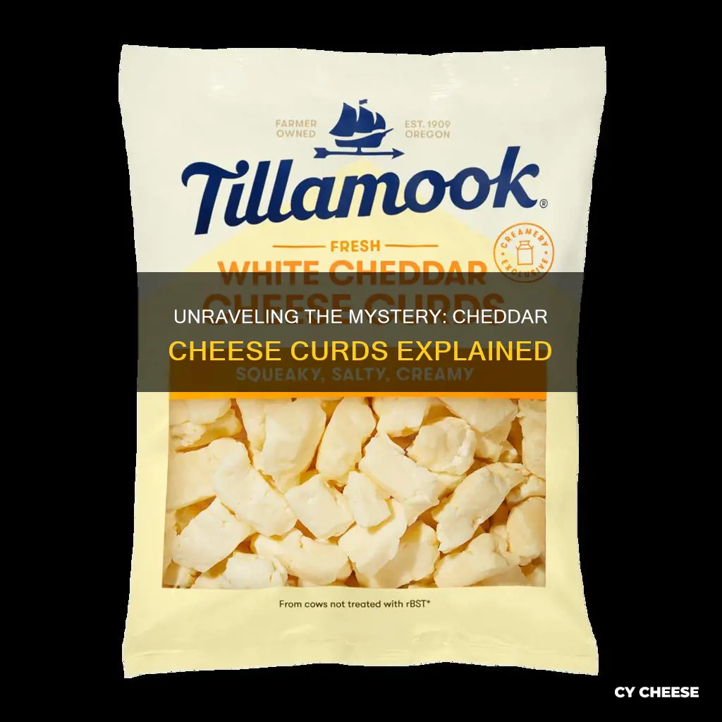 what are cheddar cheese curds