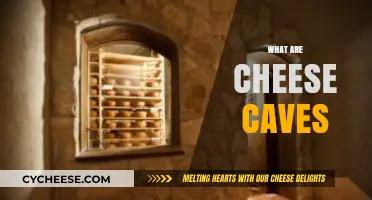 Exploring Cheese Caves: The Secret to Aging Artisan Cheeses