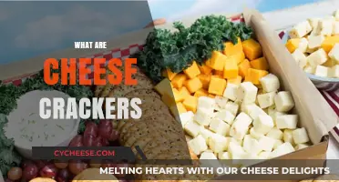 Crunchy, Cheesy, and Irresistible: Exploring the Delight of Cheese Crackers