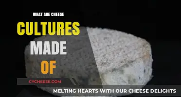 Unveiling the Magic: Ingredients of Cheese Cultures