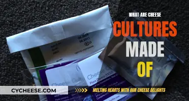 Cheese Cultures: What's Inside Your Favorite Dairy Product?