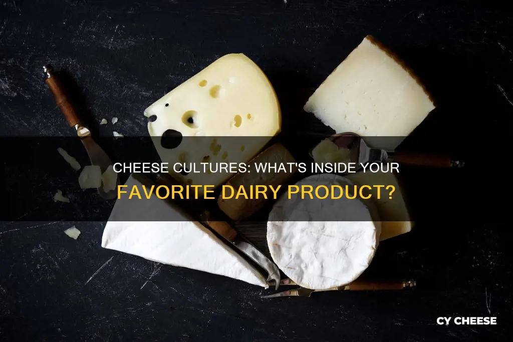 what are cheese cultures made of