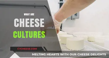 Understanding Cheese Cultures: The Hidden Heroes Behind Delicious Dairy Delights