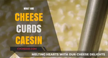 Understanding Cheese Curds: The Role of Casein in Their Unique Texture