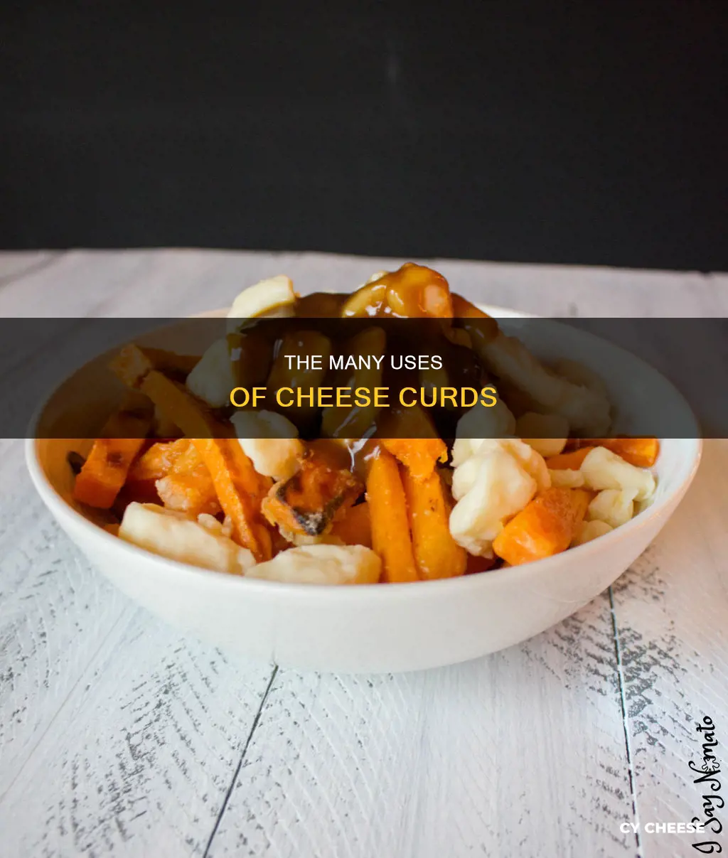 what are cheese curds used for