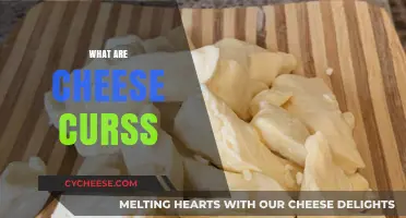 Discover the Squeaky Delight: What Are Cheese Curds and Why They're Loved