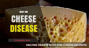 Understanding Cheese Diseases: Causes, Prevention, and Safe Consumption Tips