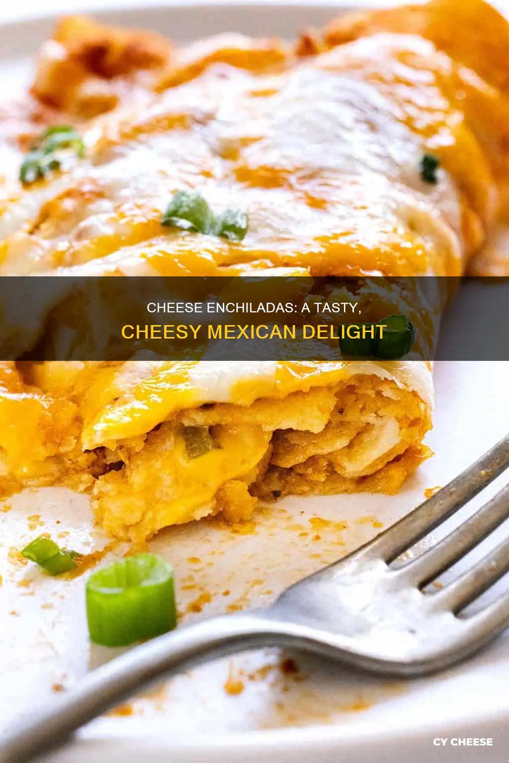 what are cheese enchiladas made of