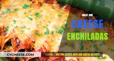 Discover the Delicious World of Cheese Enchiladas: A Mexican Favorite