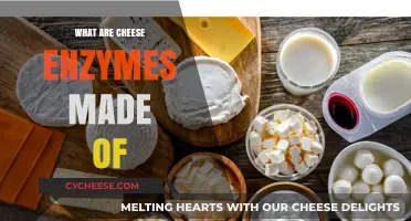 Unveiling the Science: Cheese Enzymes and Their Composition