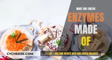 Cheese Enzymes: What's the Secret Ingredient?