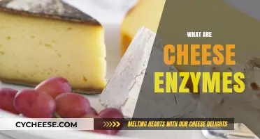 Understanding Cheese Enzymes: Their Role in Flavor and Texture Development