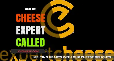 What Are Cheese Experts Called? Unveiling the Title of Fromage Masters