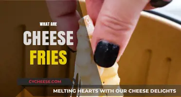 Cheese Fries 101: A Delicious, Crispy, Cheesy Snack Explained