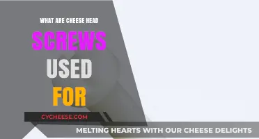 Cheese Head Screws: Understanding Their Unique Applications