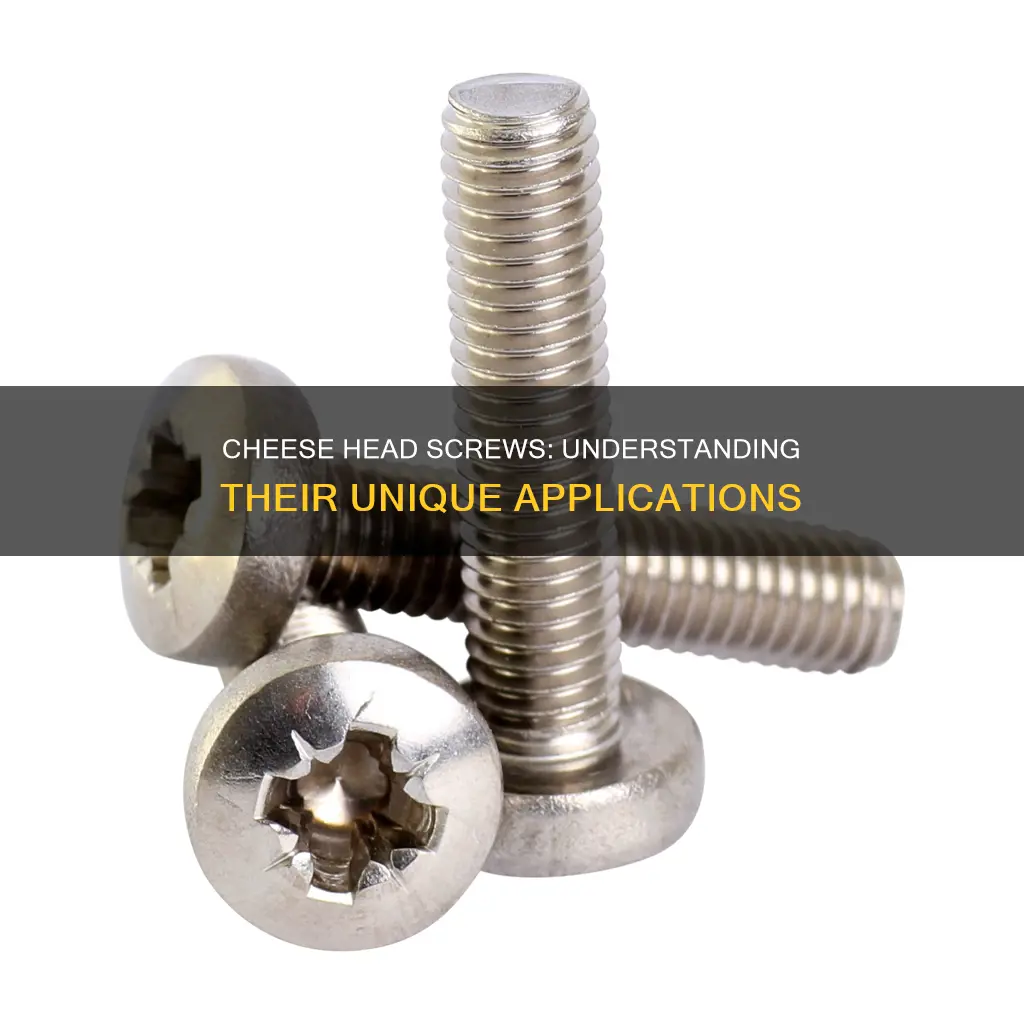 what are cheese head screws used for