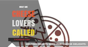 Cheese Enthusiasts: Unveiling the Tasty Title for Cheese Lovers