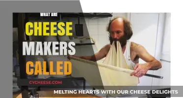 Mastering Cheese Craft: The Artisans Behind Your Favorite Cheeses