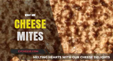 Exploring Cheese Mites: Tiny Creatures Behind Unique Cheese Flavors