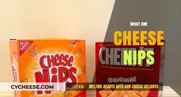 Crunchy, Cheesy, and Irresistible: Unveiling the Delight of Cheese Nips