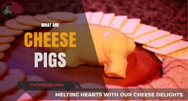 Unveiling the Mystery: What Are Cheese Pigs and Why They're Trending