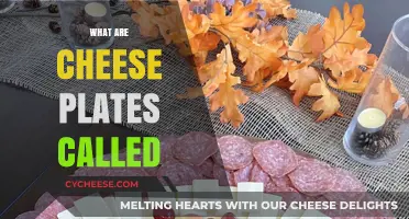 Exploring the Names of Cheese Plates: A Global Culinary Journey