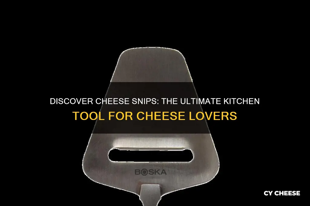 what are cheese snips