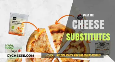 Discover Dairy-Free Delights: Exploring the Best Cheese Substitutes