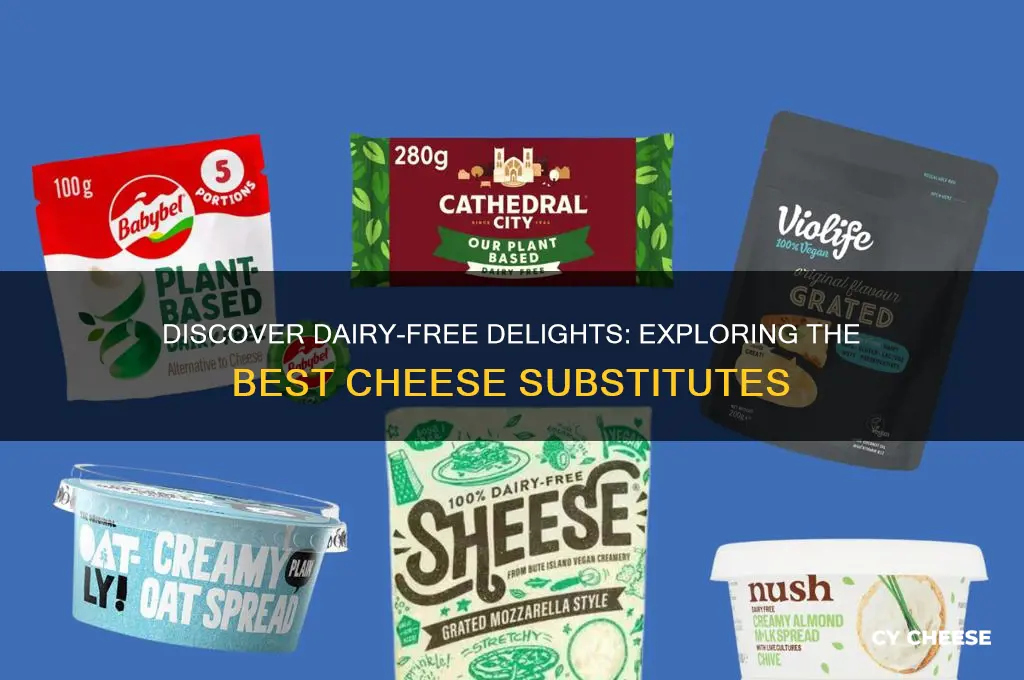 what are cheese substitutes
