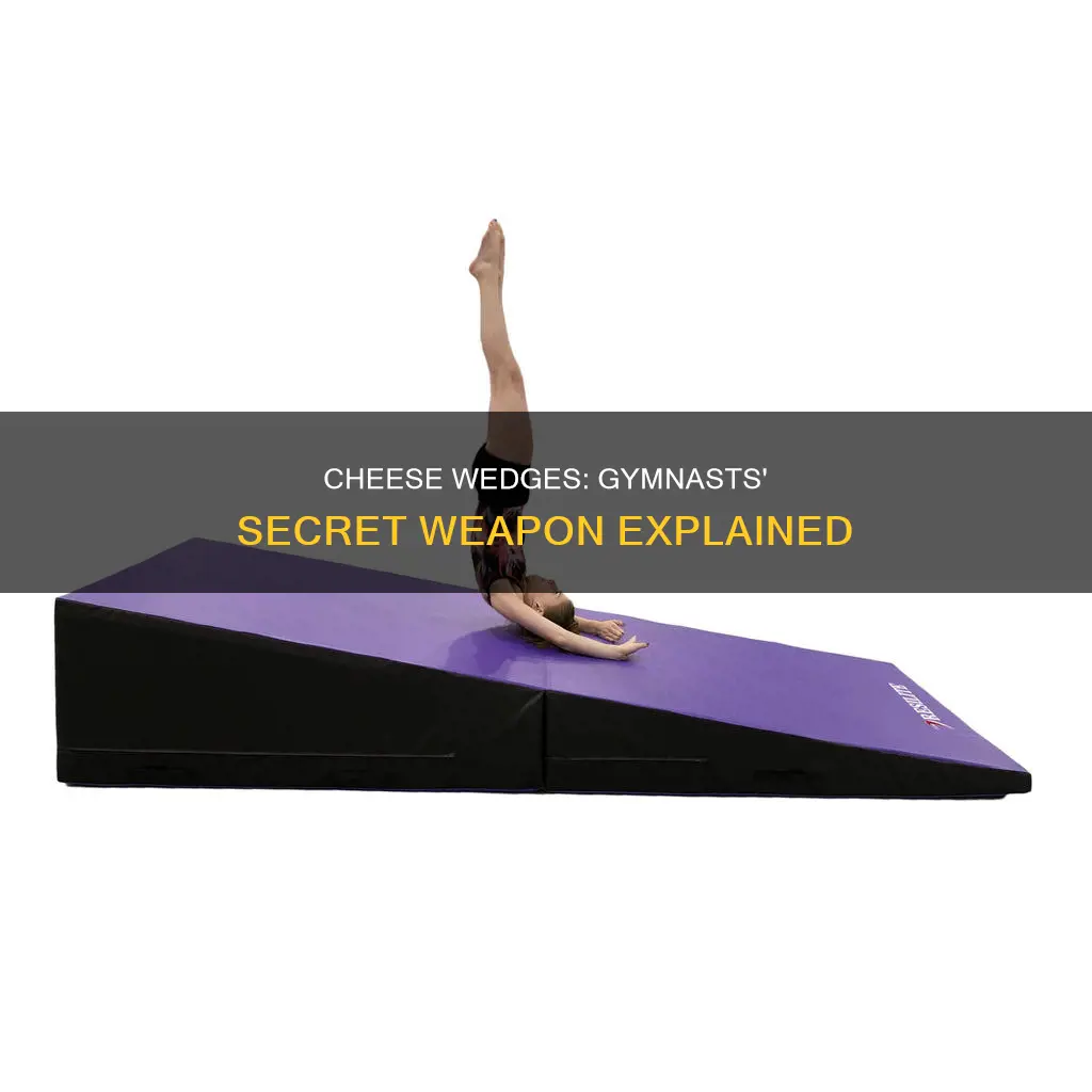 what are cheese wedges used for in gymnastids