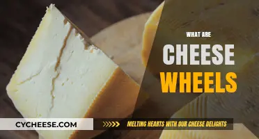 Exploring Cheese Wheels: History, Uses, and Popular Varieties