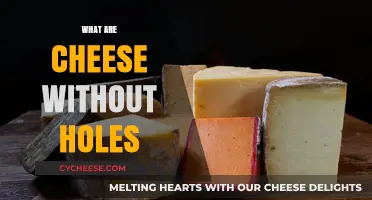 Exploring Hole-Free Cheese Varieties: A Guide to Solid Cheeses