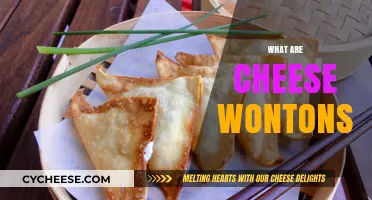 Discover the Crispy Delight: What Are Cheese Wontons?