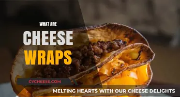 Discover the Delicious World of Cheese Wraps: A Tasty Guide