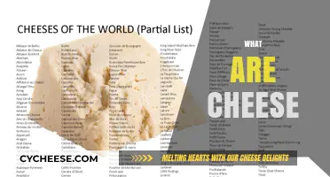 Exploring the World of Cheese: Types, Origins, and Delicious Uses