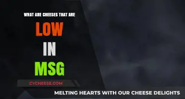 Discover MSG-Free Cheeses: Healthy, Flavorful Options for Your Diet