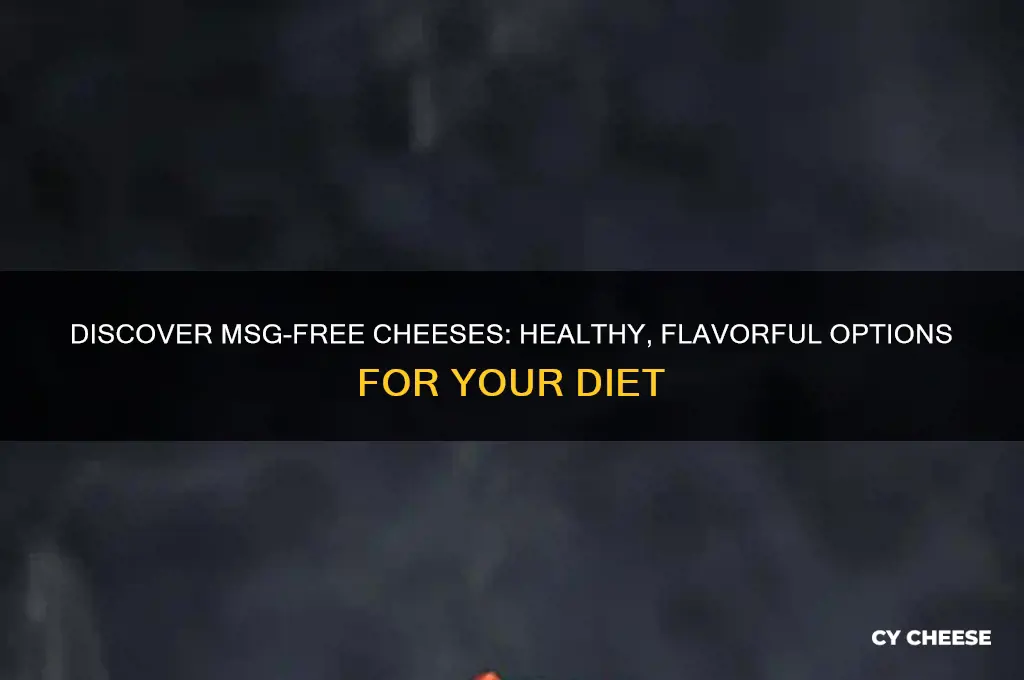 what are cheeses that are low in msg