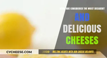 Indulge in the World's Most Decadent and Delicious Cheeses