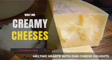 Exploring Creamy Cheeses: Types, Uses, and Irresistible Recipes