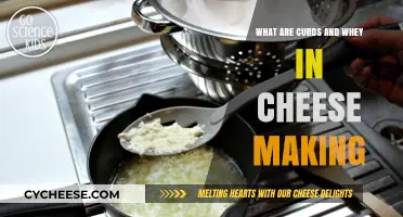 Understanding Curds and Whey: Essential Components in Cheese Making Explained