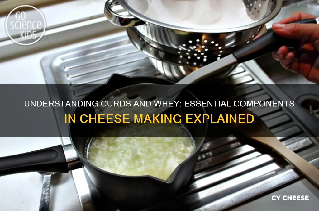 what are curds and whey in cheese making