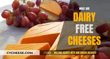 Explore Dairy-Free Cheeses: Delicious Vegan Alternatives