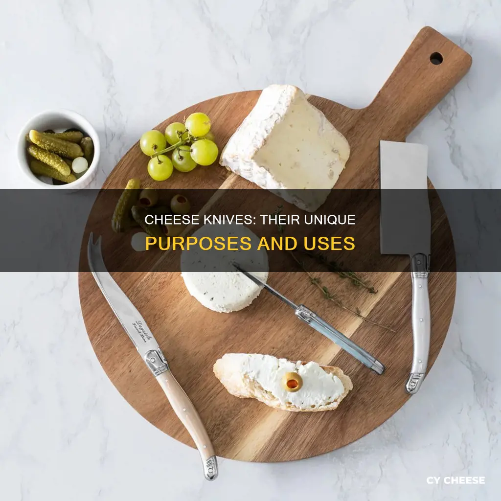 what are different cheese knives used for