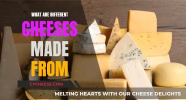 Cheese Origins: Exploring Milk Varieties and Their Flavors