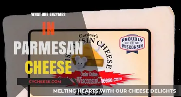 Unlocking Enzymes' Role in Parmesan Cheese